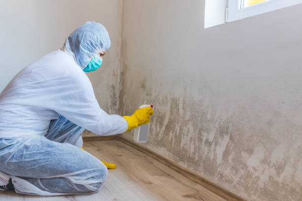 Crawl Space Mold Remediation treatment of floor joists in Gibson Island